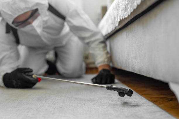 Professional Bed Bug Control technician working in Melbourne Beach, FL